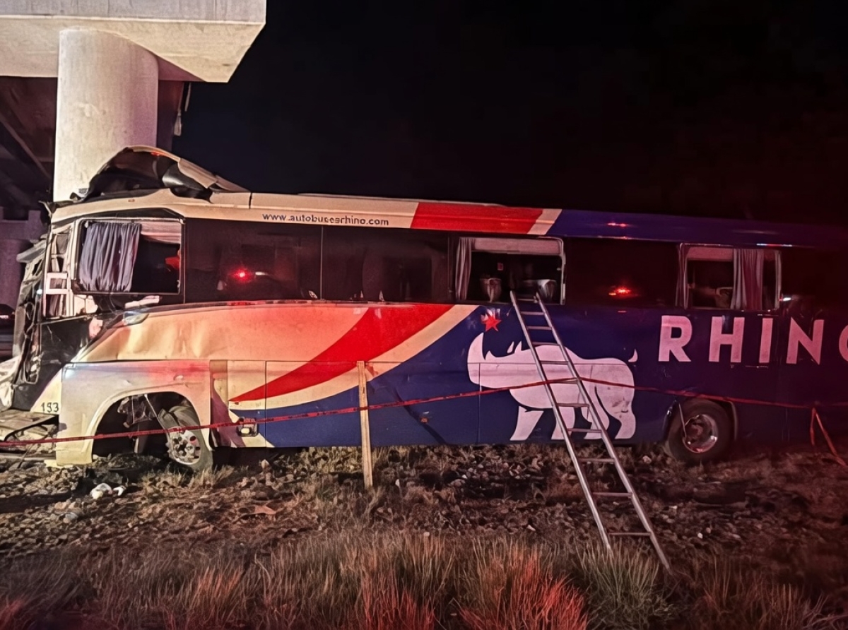 Entre IMSS y el Puente