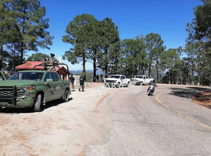 Cráneos Con Orificios Balísticos