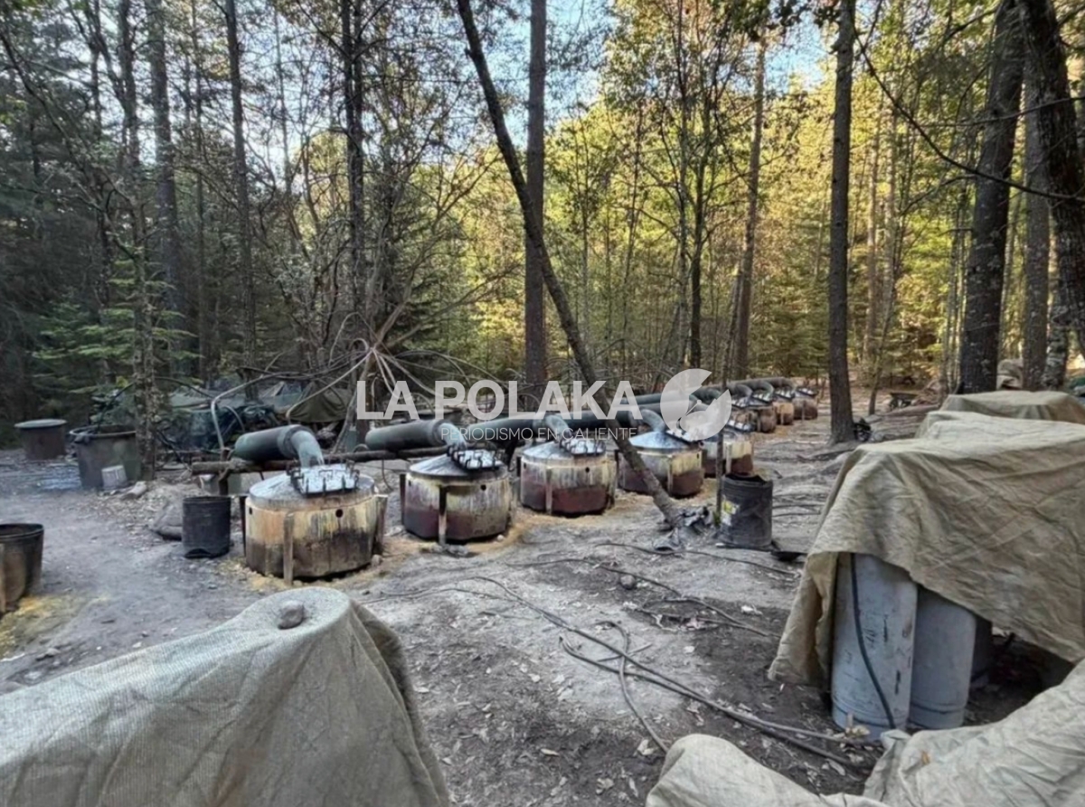 Clausura de NarcoPlanta Industrial