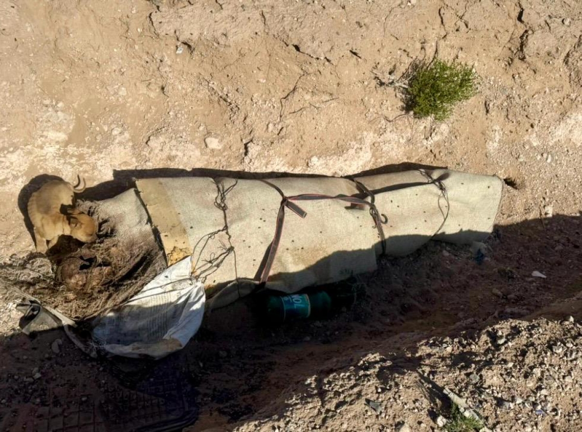 Lo Reciben en Alfombra Amarilla