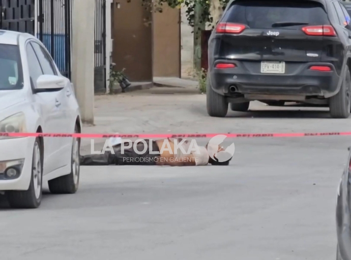 Terrorismo de Barrio