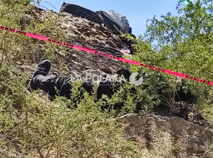 Desbarrancados es Trending