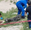 NarcoTerrorismo en JMAS