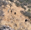 Fumigación Militar en Parral