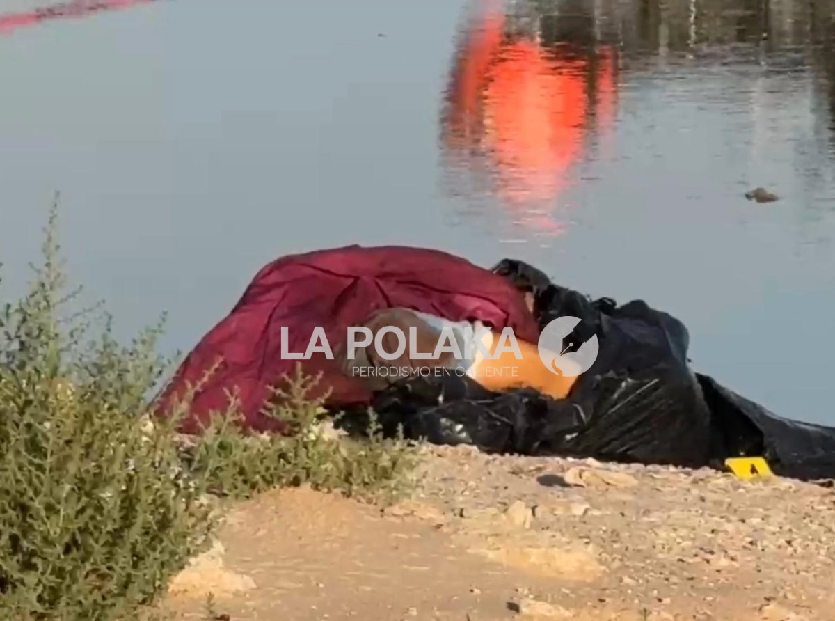 Kit Básico de la Maña