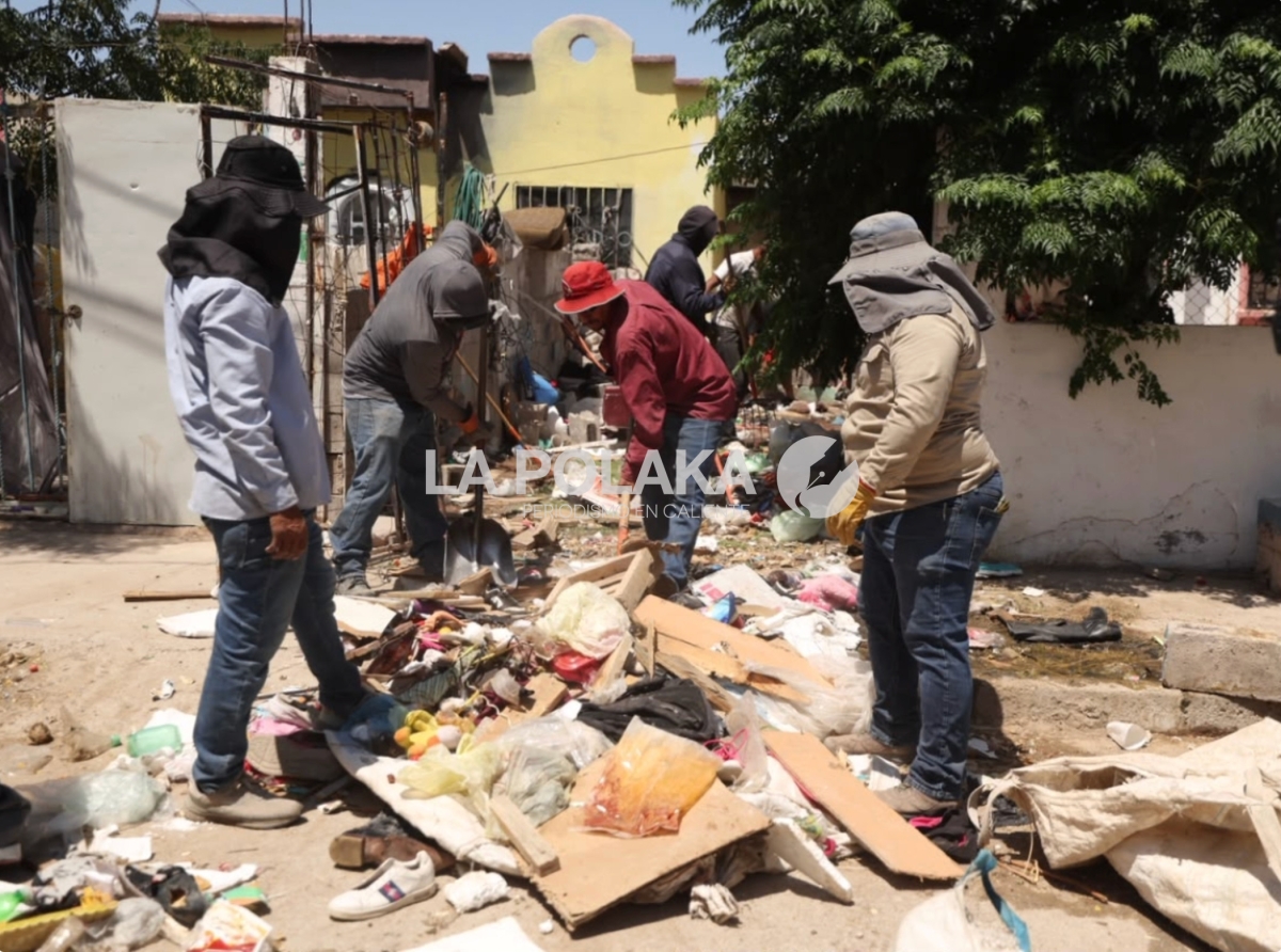Muladares del Bravo