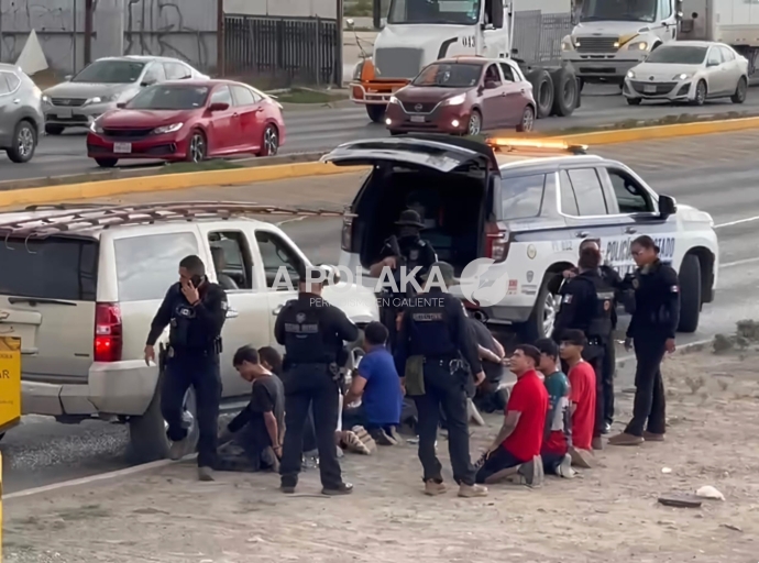 Pollos Locos