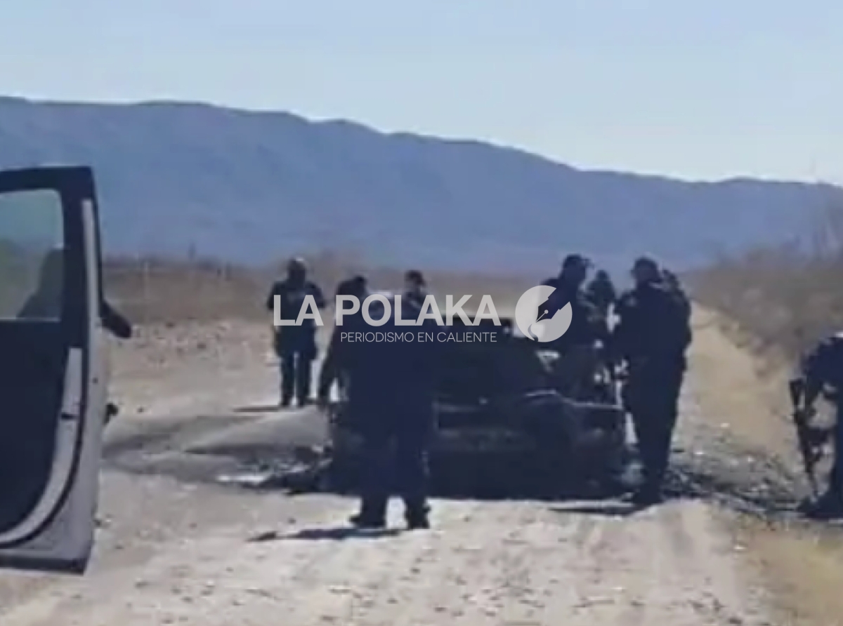 Plomo a Polis Estatales