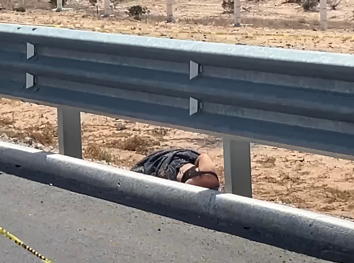 En Modo Basura