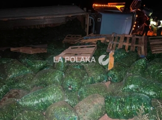Jalapeño Toreado