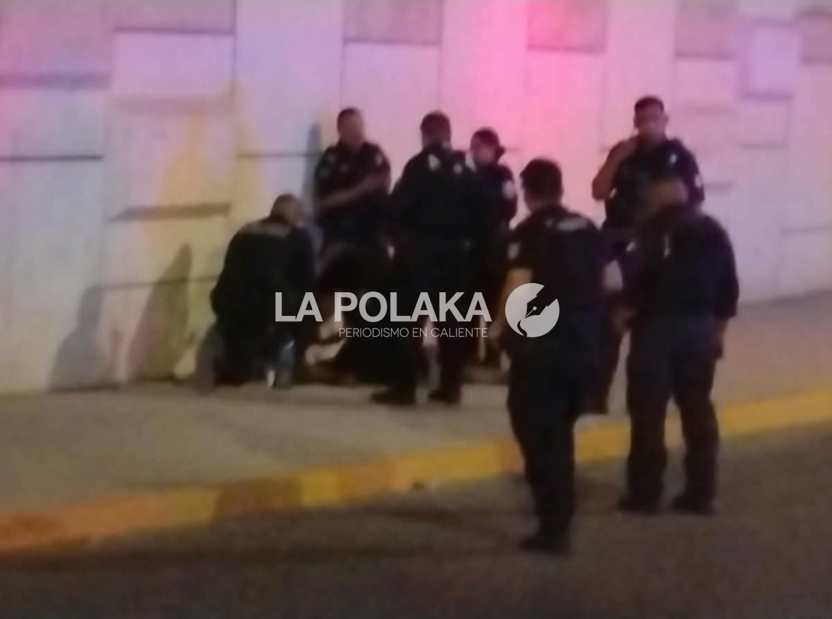 Fue Hombre Araña en Vida Pasada