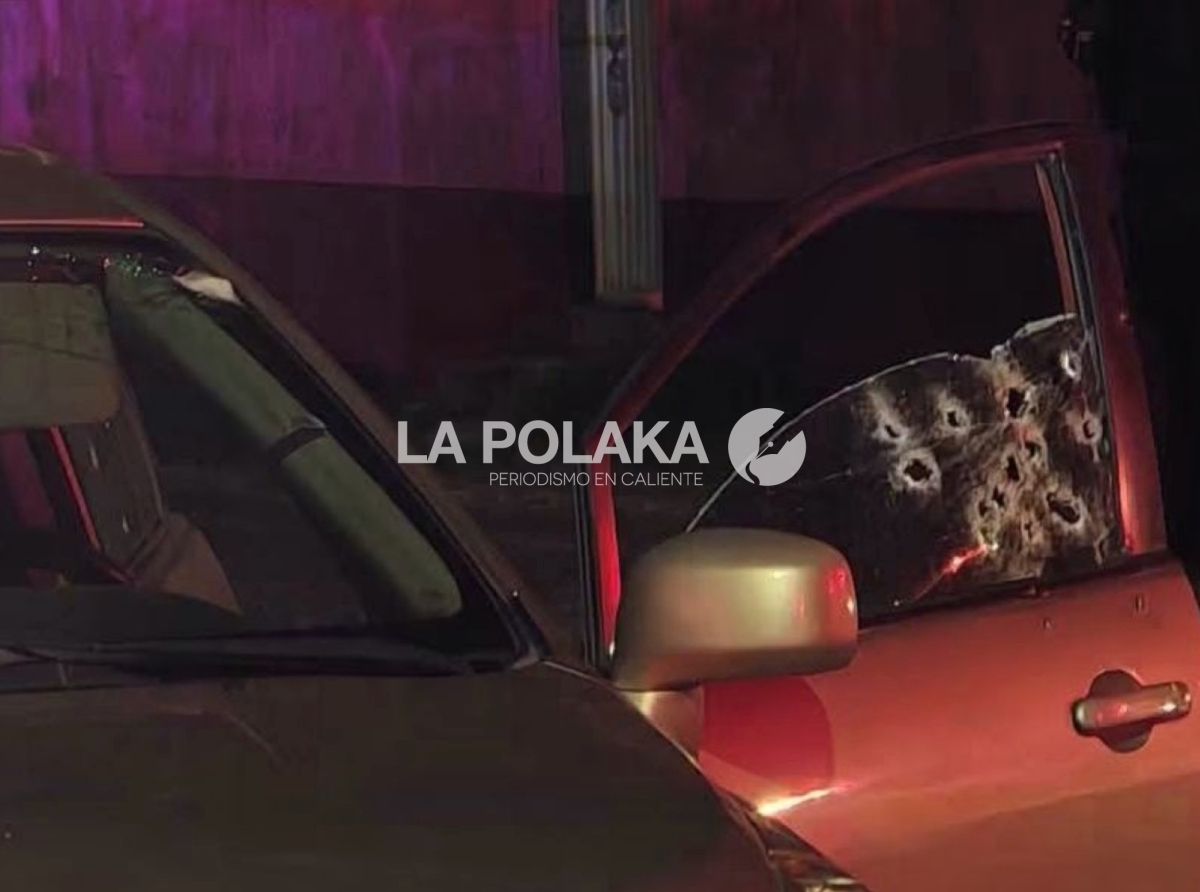 Los Perros No Hablan