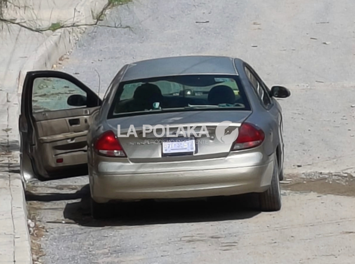 Pero Centinela Todo lo Ve