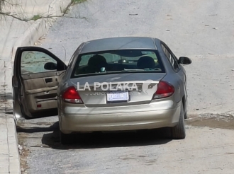 Pero Centinela Todo lo Ve