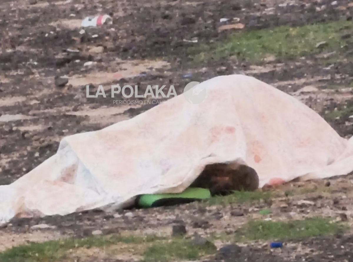 Reto al Tren