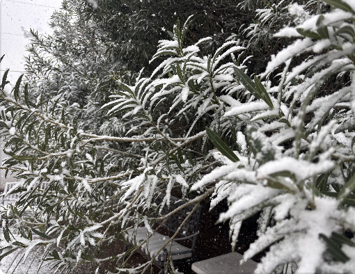 Screen Shot 2026 01 25 at 9.29.23 AM