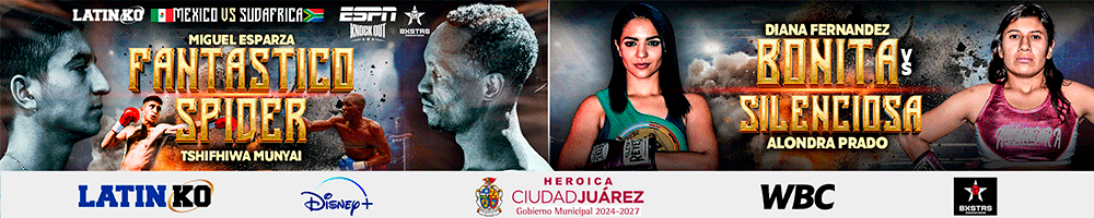 Banner Largo Box 4 de Julio
