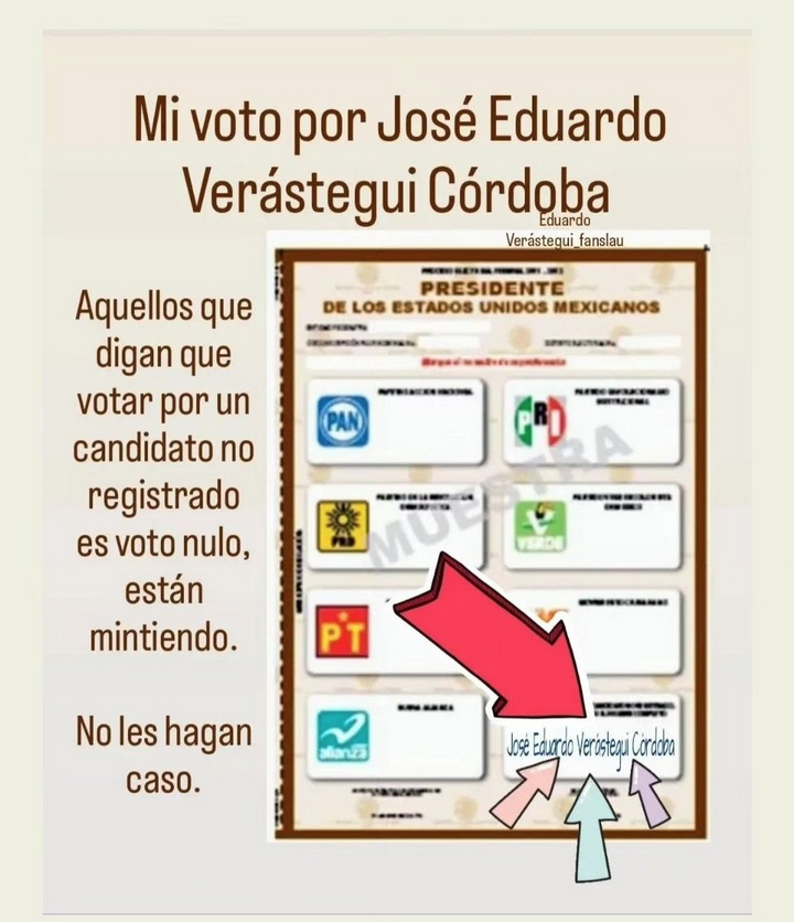 mi voto