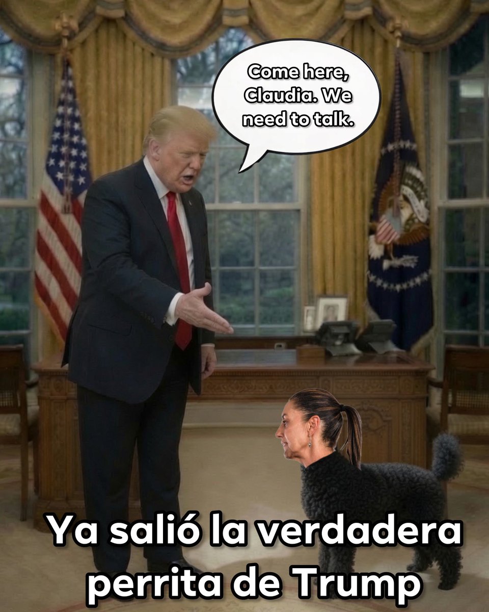 perrita